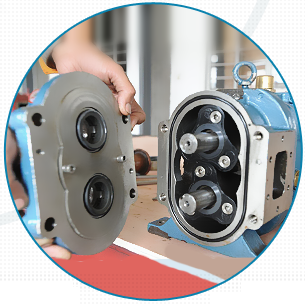 麻豆免费版免费下载