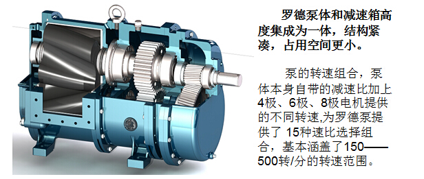 凸轮麻豆视频免费下载 凸轮麻豆视频免费下载