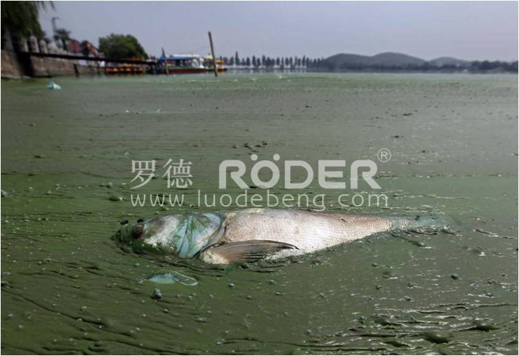 麻豆免费版免费下载凸轮麻豆视频免费下载 麻豆免费版免费下载凸轮麻豆视频免费下载