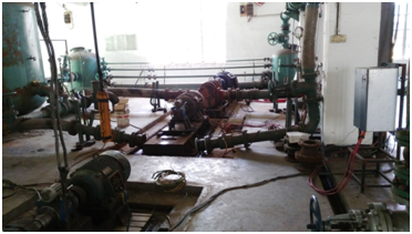 为客户负责--青岛麻豆免费版免费下载严控产品质量，彰显品牌力量