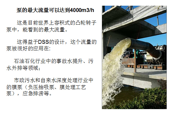 麻豆免费版免费下载凸轮麻豆视频免费下载大流量