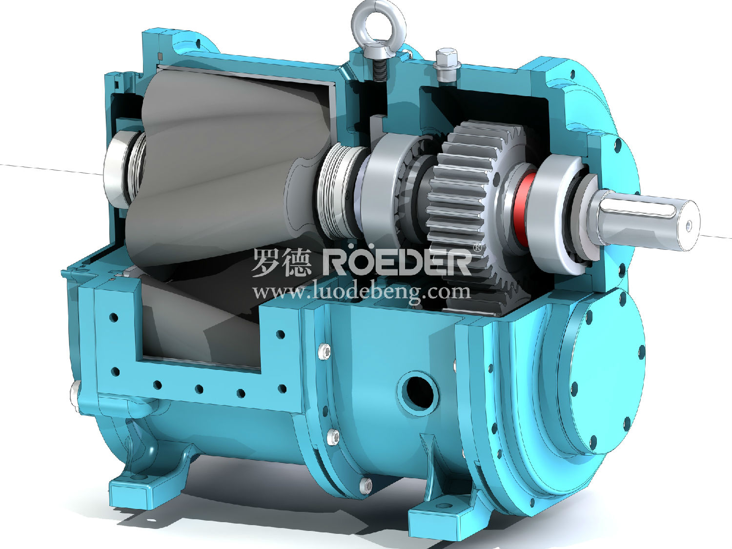 麻豆视频免费下载