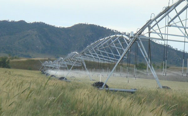 麻豆免费版免费下载麻豆国产免费参与东北节水增粮项目行动 麻豆免费版免费下载麻豆国产免费参与东北节水增粮项目行动