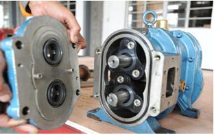 凸轮麻豆视频免费下载的密封