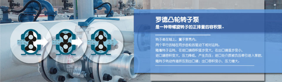 麻豆视频免费下载厂家