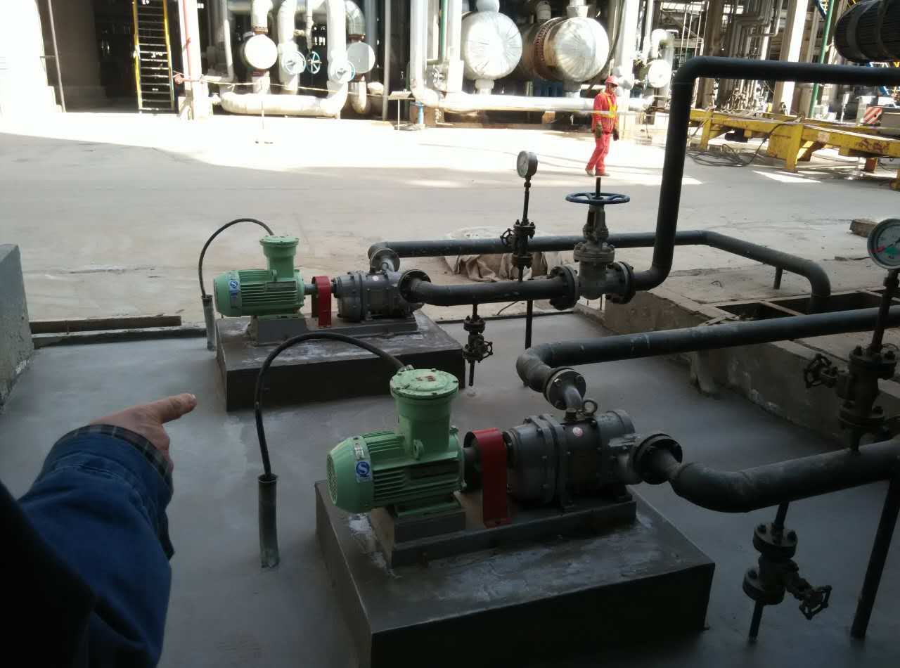 中石油华北石化使用的麻豆免费版免费下载RDB12型凸轮麻豆视频免费下载