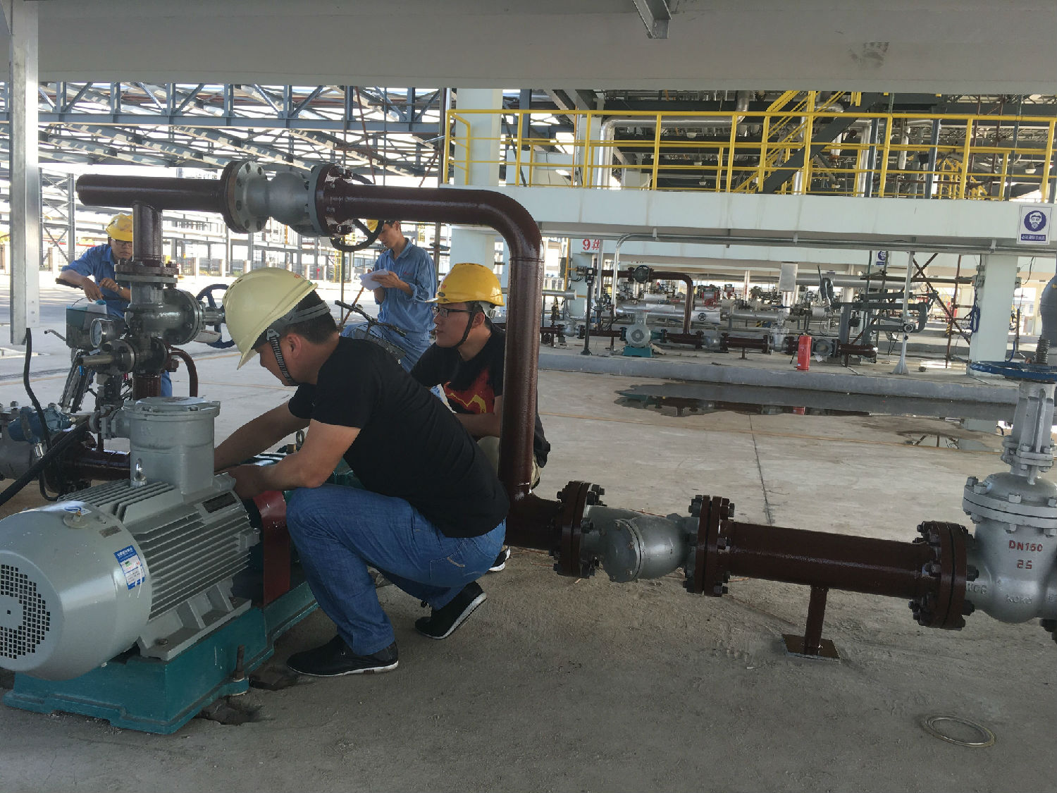 江苏甲醇卸车泵麻豆免费版免费下载橡胶凸轮麻豆视频免费下载