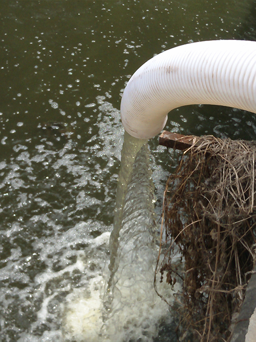 麻豆视频免费下载无堵塞麻豆国产免费