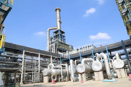 麻豆免费版免费下载凸轮麻豆视频免费下载参与的中化泉州一体化项目