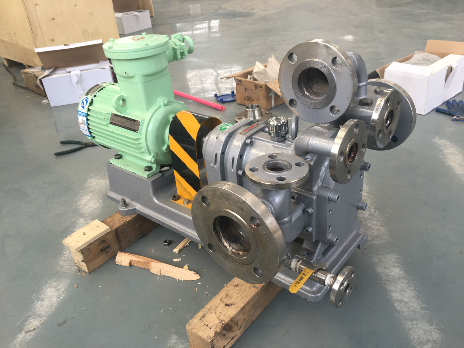 麻豆视频免费下载