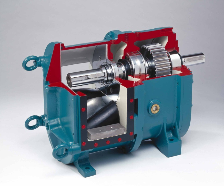 麻豆视频免费下载 麻豆视频免费下载