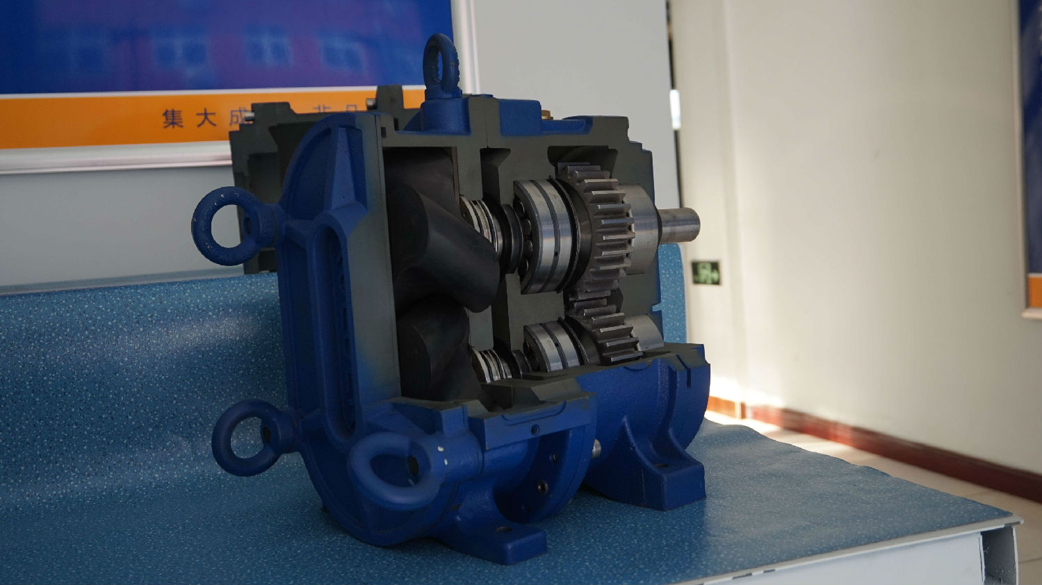 麻豆视频免费下载 麻豆视频免费下载