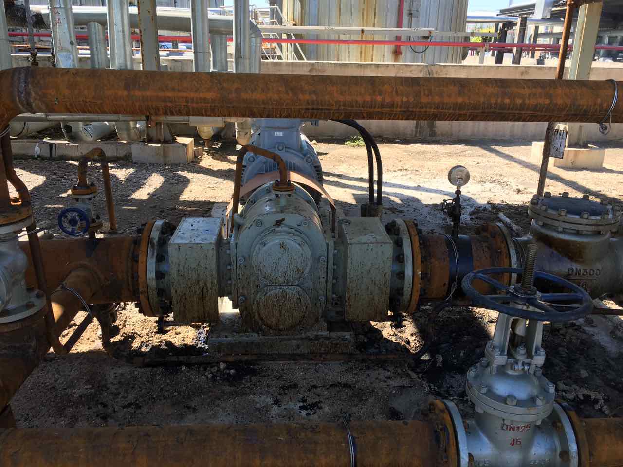 超稠原油输送泵 超稠原油输送泵