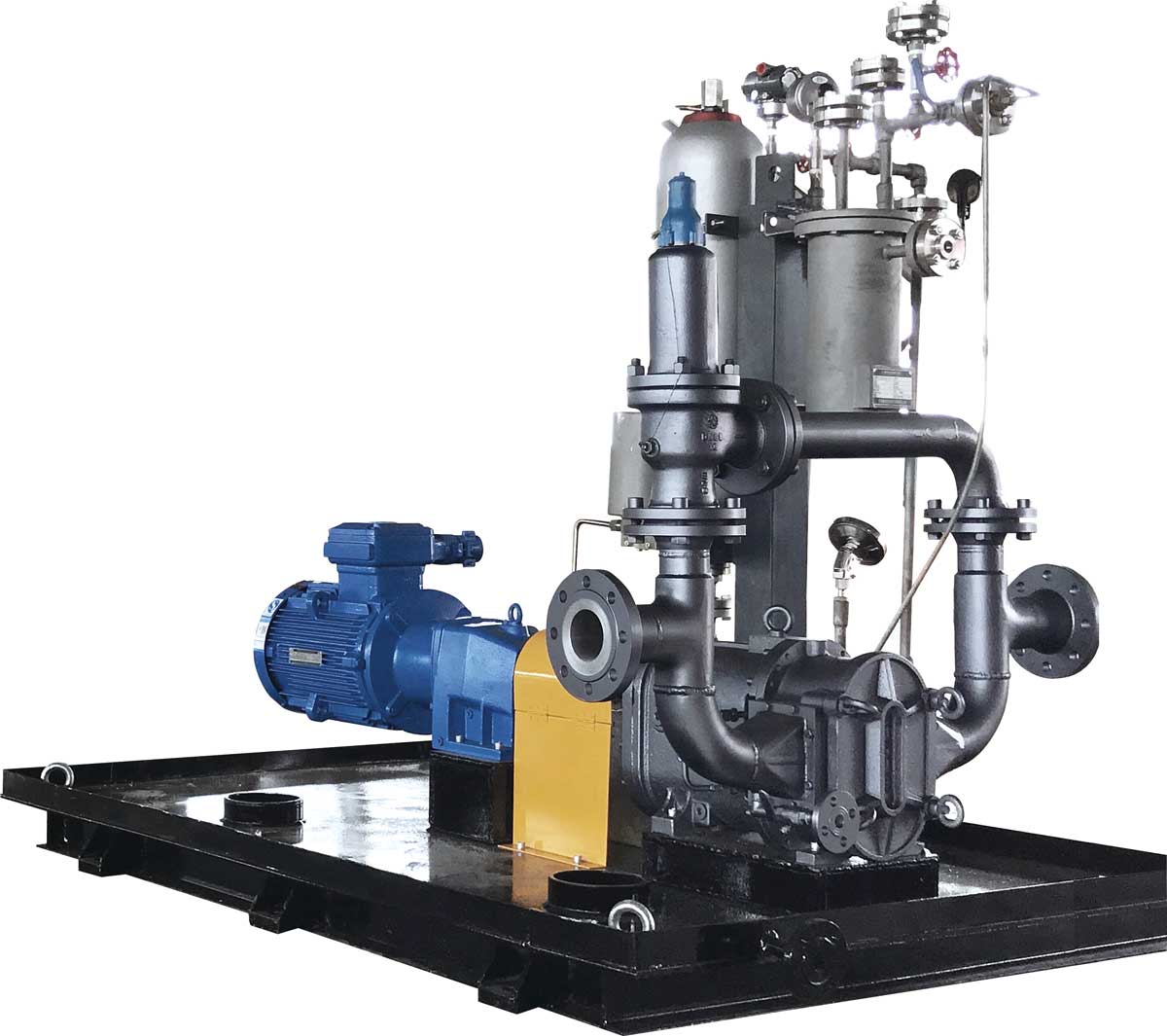 麻豆视频免费下载安装