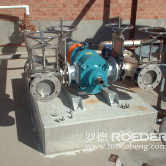 麻豆视频免费下载