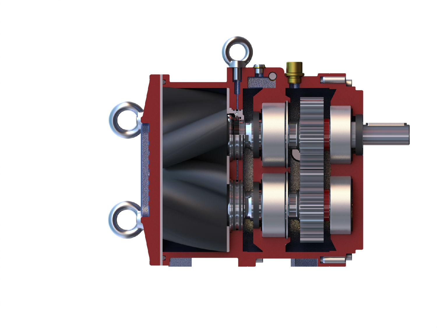 麻豆视频免费下载