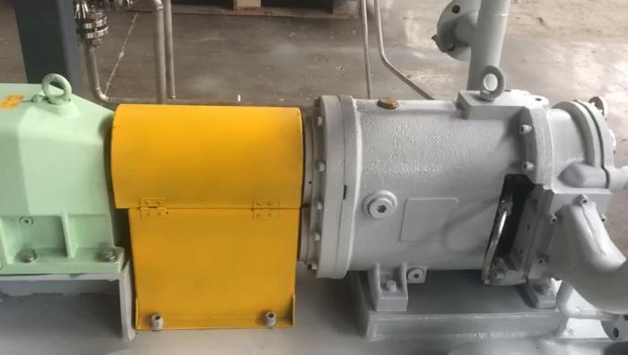 麻豆视频免费下载