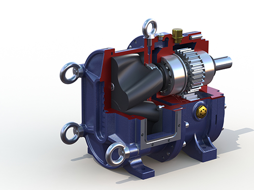 凸轮麻豆视频免费下载泵头剖面图