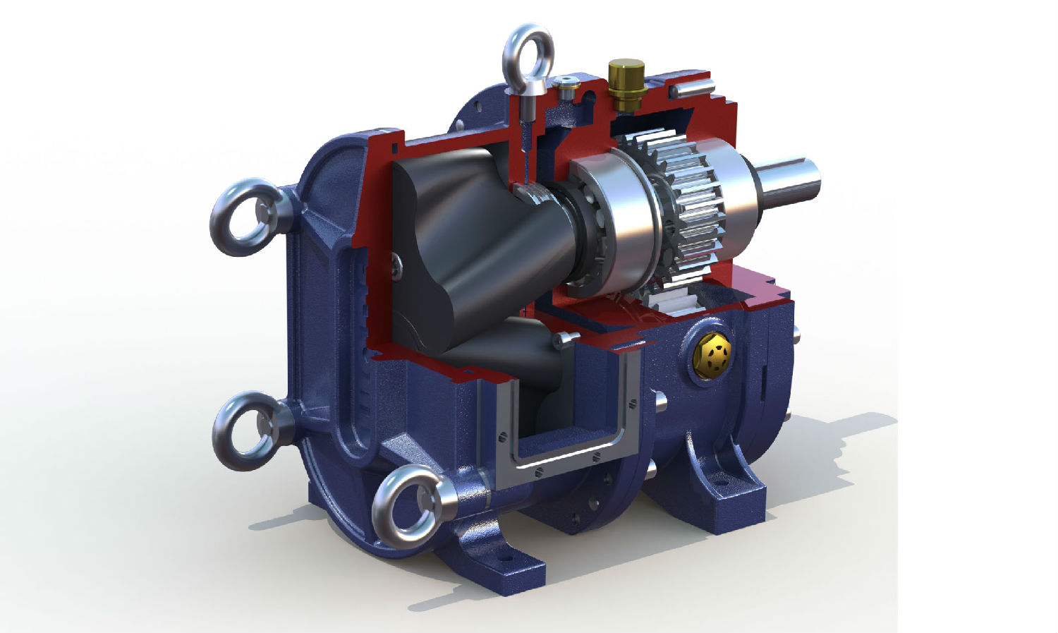 麻豆视频免费下载