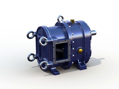 麻豆视频免费下载